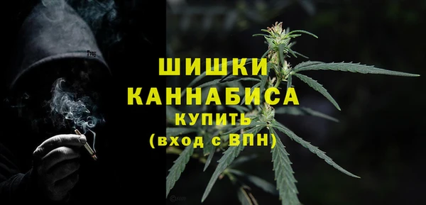 круглые Гусев