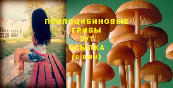 ешки Алексин