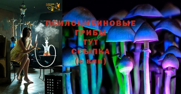 ешки Алексин