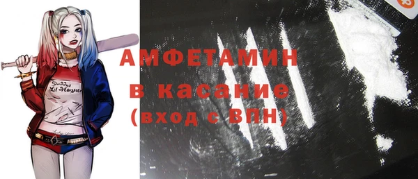 гашик Гусь-Хрустальный