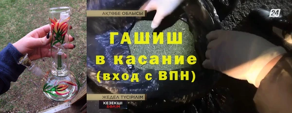 ешки Алексин