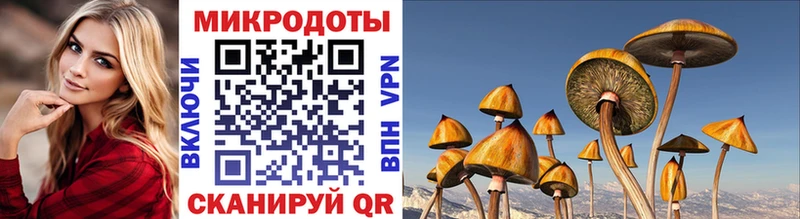 Галлюциногенные грибы Magic Shrooms  Бронницы 